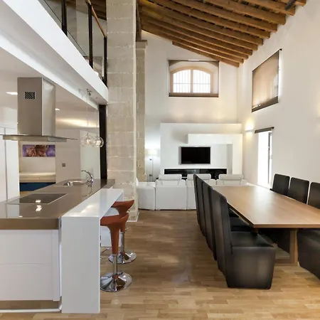 G&h - Duplex Tipo Loft Apartment Jerez de la Frontera